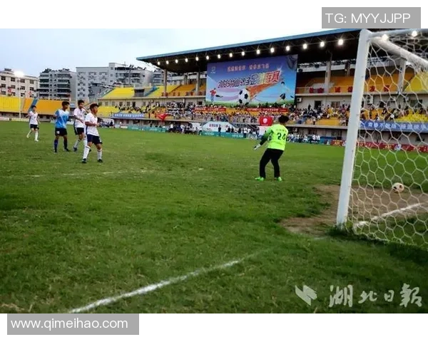 绿色赛场上的激情与荣耀探索足球运动背后的团队精神与奋斗故事